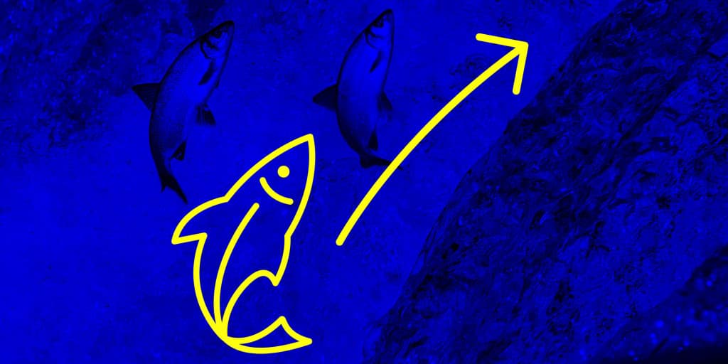 Swimming Upstream: Can Strategy Move Beyond the Brief?